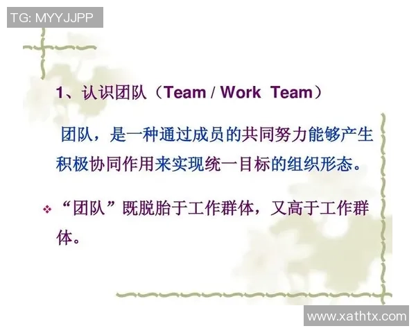 独家解读V5团队协作模式的优势与不足对比分析